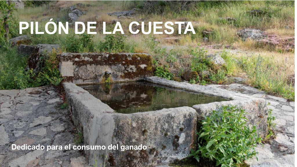 pilondelacuesta